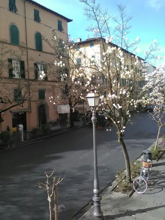 Suite Sofia Lucca Exterior photo