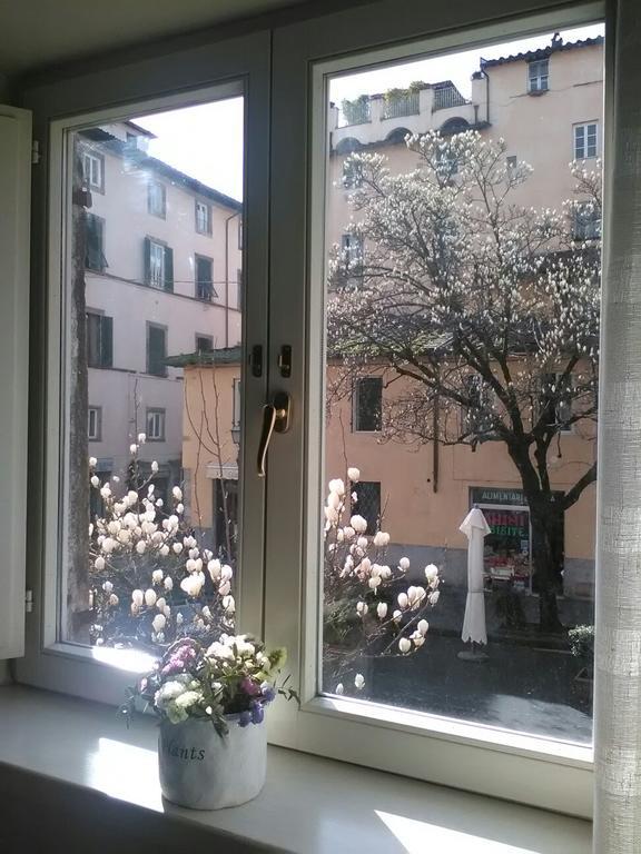 Suite Sofia Lucca Exterior photo